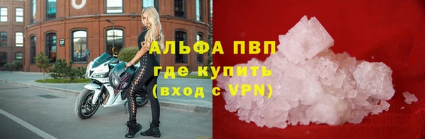 дмт Дмитриев