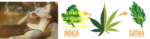 дмт Дмитриев