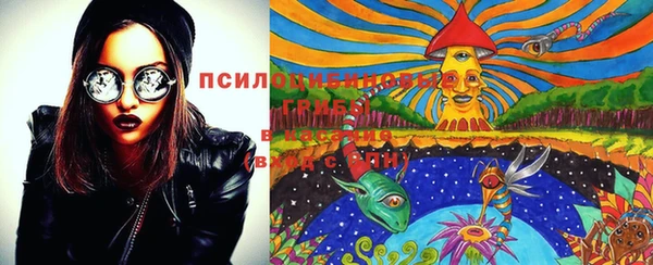 дмт Дмитриев