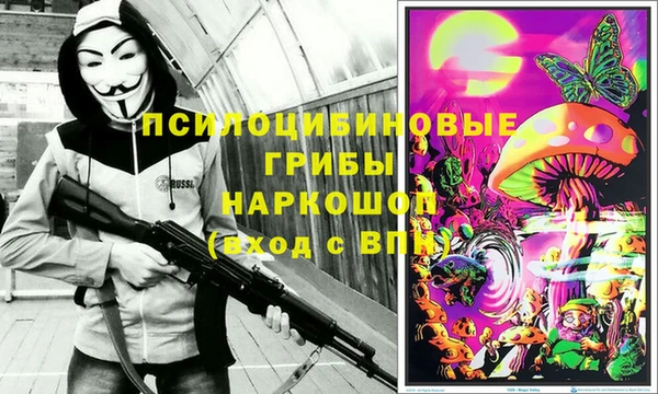 дмт Дмитриев