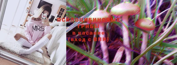 mdpv Дмитров