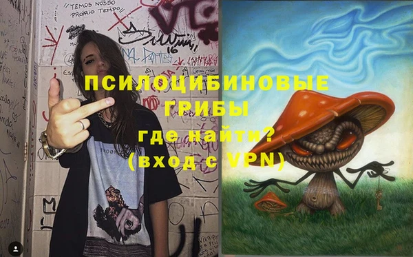 дмт Дмитриев