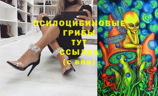 mdpv Дмитров