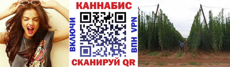 наркота  Сыктывкар  omg как войти  МАРИХУАНА Bruce Banner 